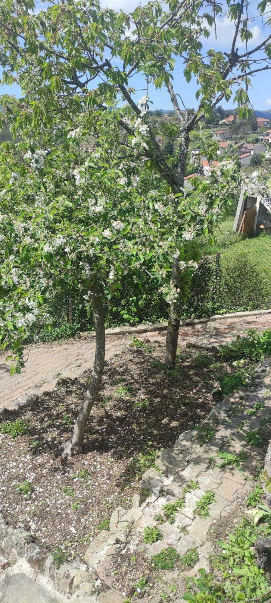 La Petite Maison D'Hose Monistrol-sur-Loire ภายนอก รูปภาพ